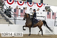 10r14_6393 proof