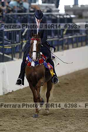 Proof 10r14_6398