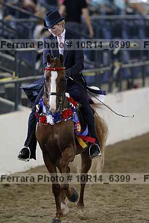 Proof 10r14_6399