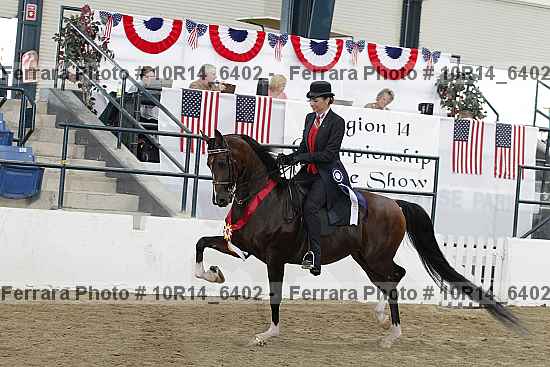 Proof 10r14_6402