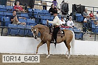 10r14_6408 proof