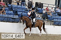 10r14_6481 proof