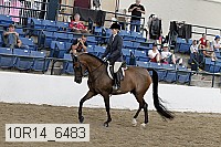 10r14_6483 proof