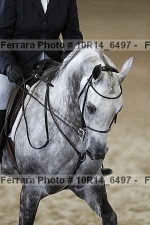 Proof 10r14_6497