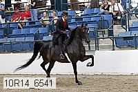 10r14_6541 proof