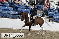 10r14_6566 proof