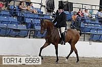 10r14_6569 proof