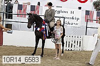 10r14_6583 proof