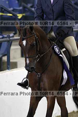 Proof 10r14_6594