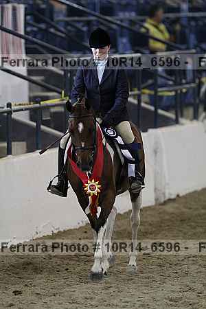 Proof 10r14_6596