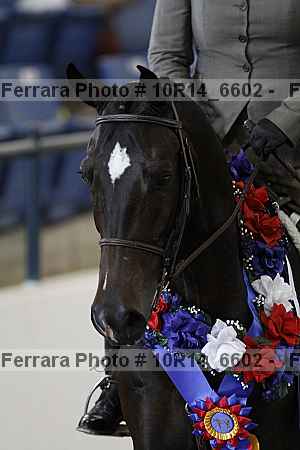 Proof 10r14_6602
