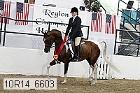 10r14_6603 proof