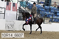 10r14_6607 proof