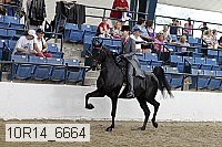 10r14_6664 proof