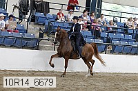 10r14_6679 proof