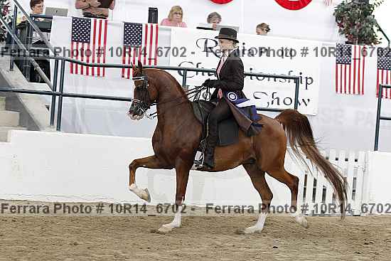 Proof 10r14_6702