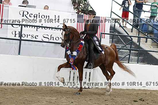 Proof 10r14_6715
