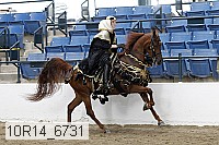 10r14_6731 proof