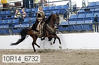 10r14_6732 proof