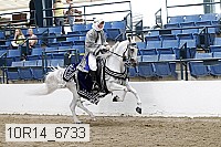 10r14_6733 proof