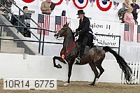 10r14_6775 proof