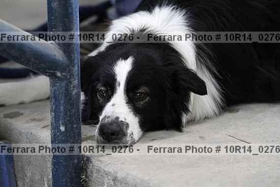 Proof 10r14_0276