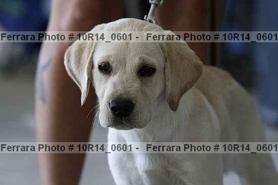 Proof 10r14_0601