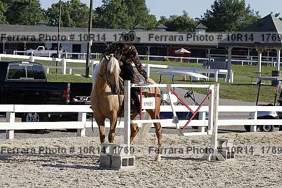 Proof 10r14_1769