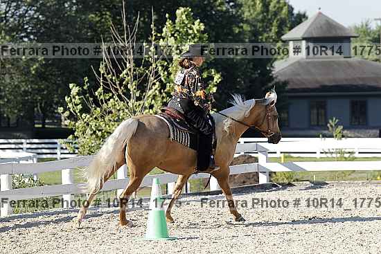 Proof 10r14_1775