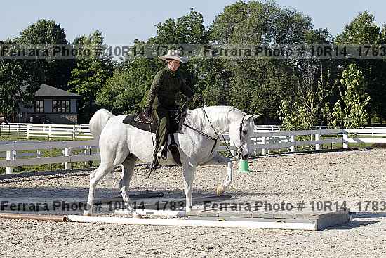Proof 10r14_1783