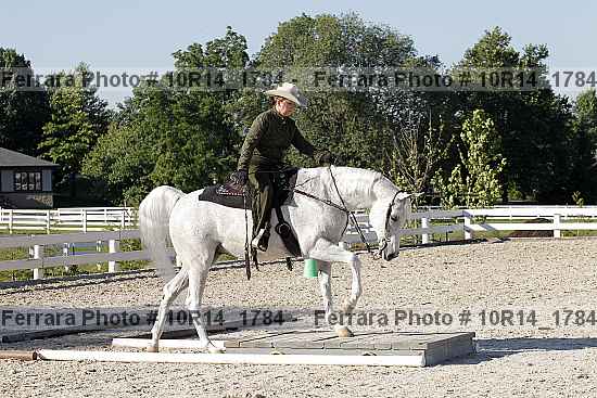 Proof 10r14_1784