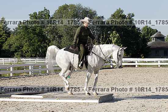 Proof 10r14_1785