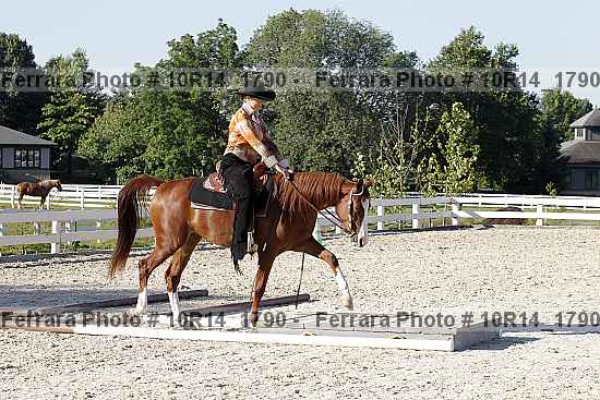 Proof 10r14_1790