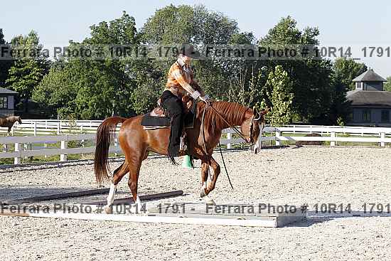 Proof 10r14_1791