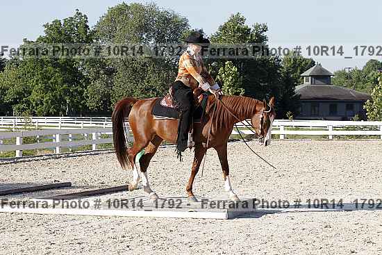 Proof 10r14_1792