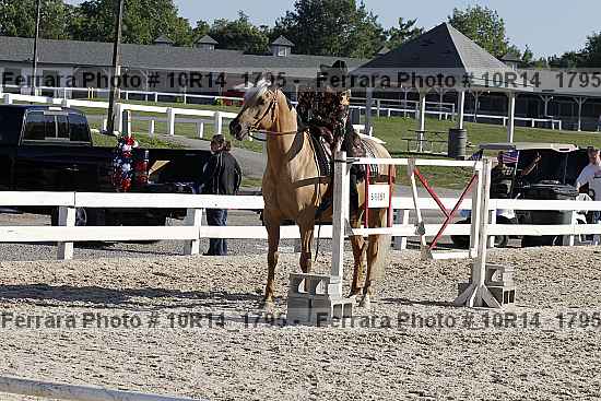 Proof 10r14_1795