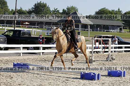 Proof 10r14_1799