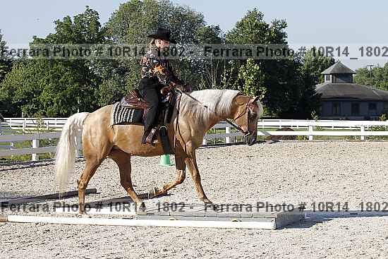 Proof 10r14_1802