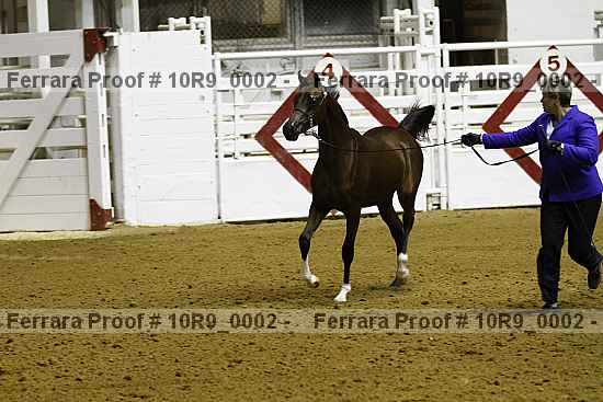 Proof 10r9_0002