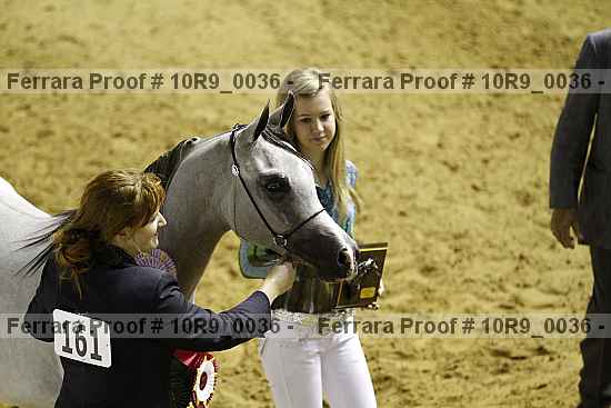 Proof 10r9_0036