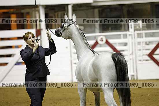 Proof 10r9_0085