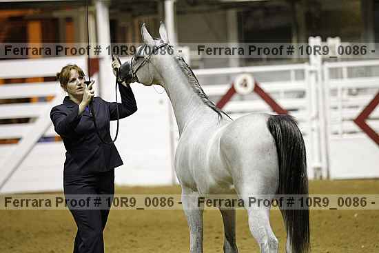 Proof 10r9_0086