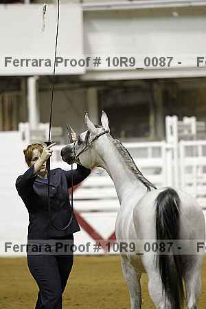 Proof 10r9_0087