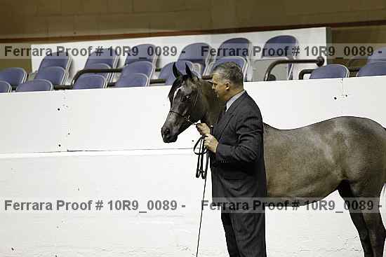 Proof 10r9_0089