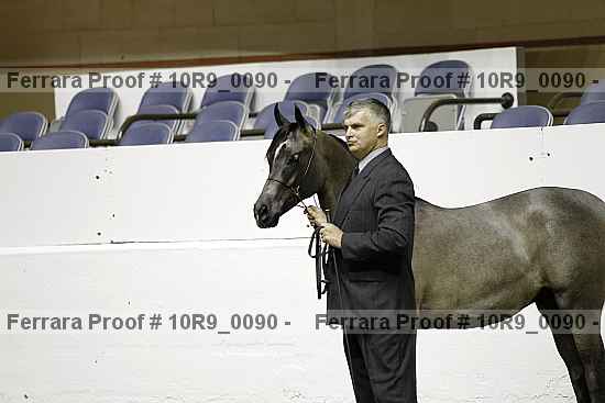 Proof 10r9_0090