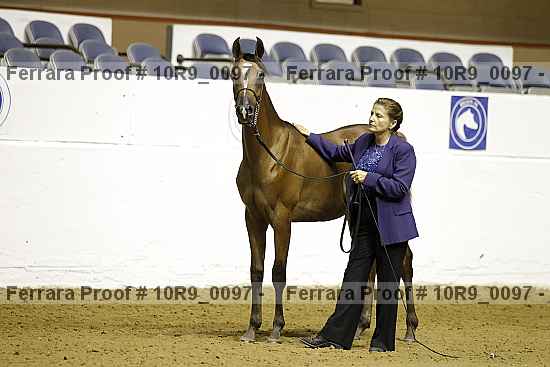 Proof 10r9_0097
