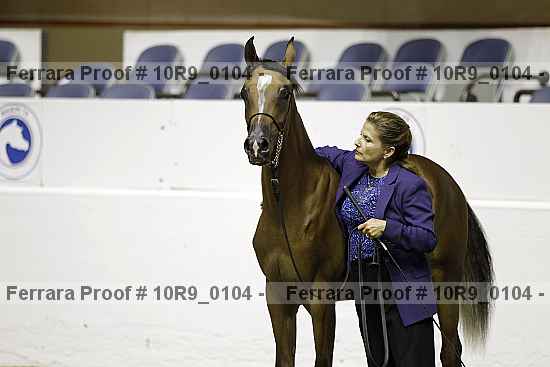 Proof 10r9_0104