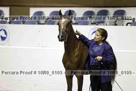 Proof 10r9_0105