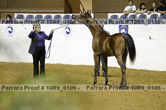 Proof 10r9_0106
