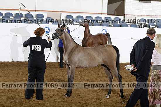 Proof 10r9_0042